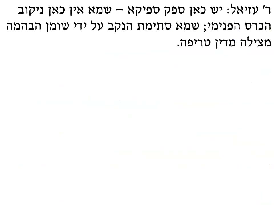 שקף 00:29:39
