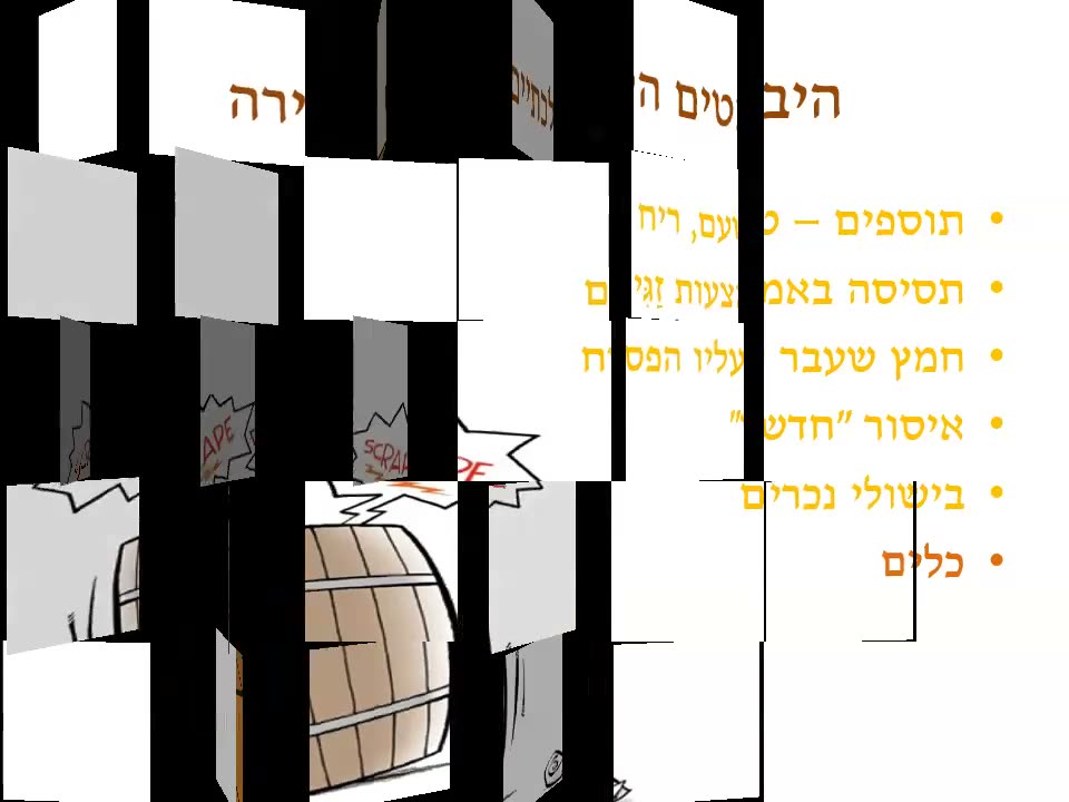 שקף 00:21:08