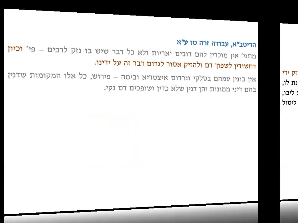 שקף 00:20:16